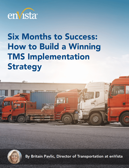 Six Months to Success_How to Build a Winning TMS Implementation Strategy