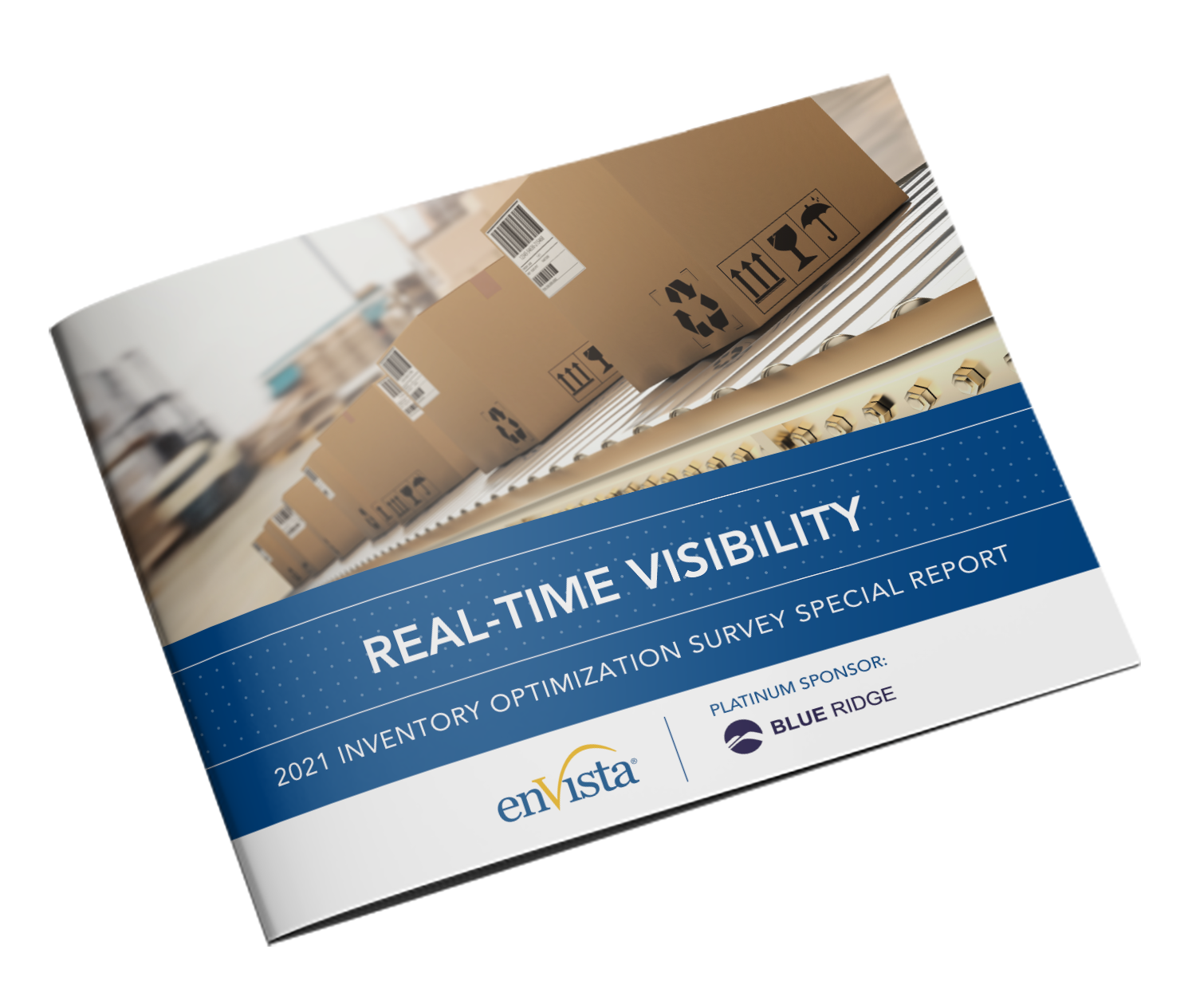 Real-Time Visibility Special Report Cover